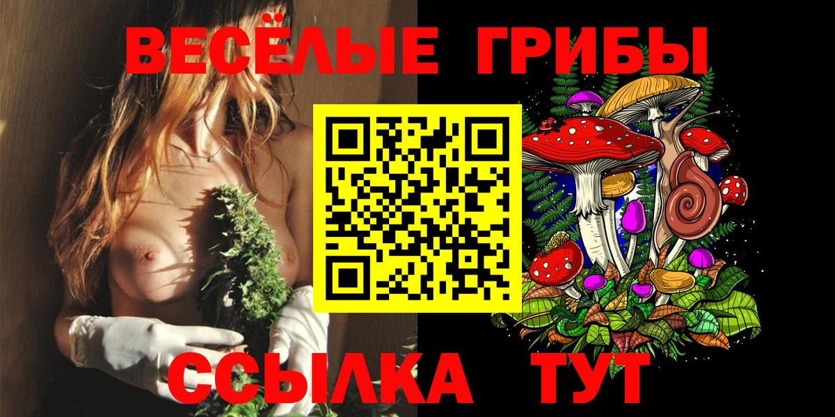 Псилоцибиновые грибы Psilocybine cubensis  Вход с VPN  Кызыл 