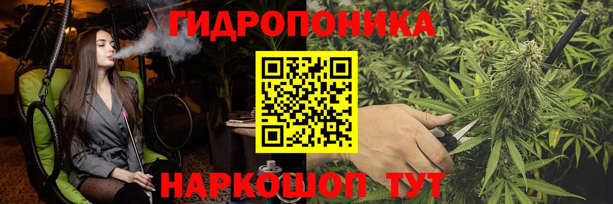 Каннабис семена Кызыл